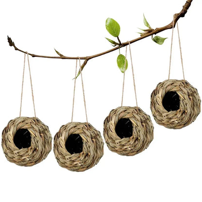 Egg Cage Bird House