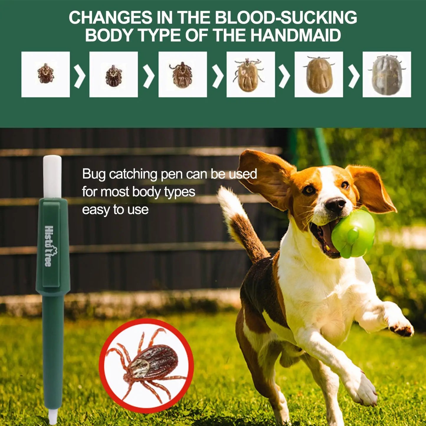 Fleas Flea Tick Tweezers Clip Remover