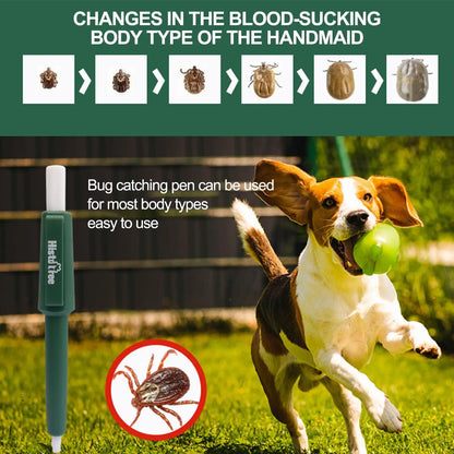Fleas Flea Tick Tweezers Clip Remover