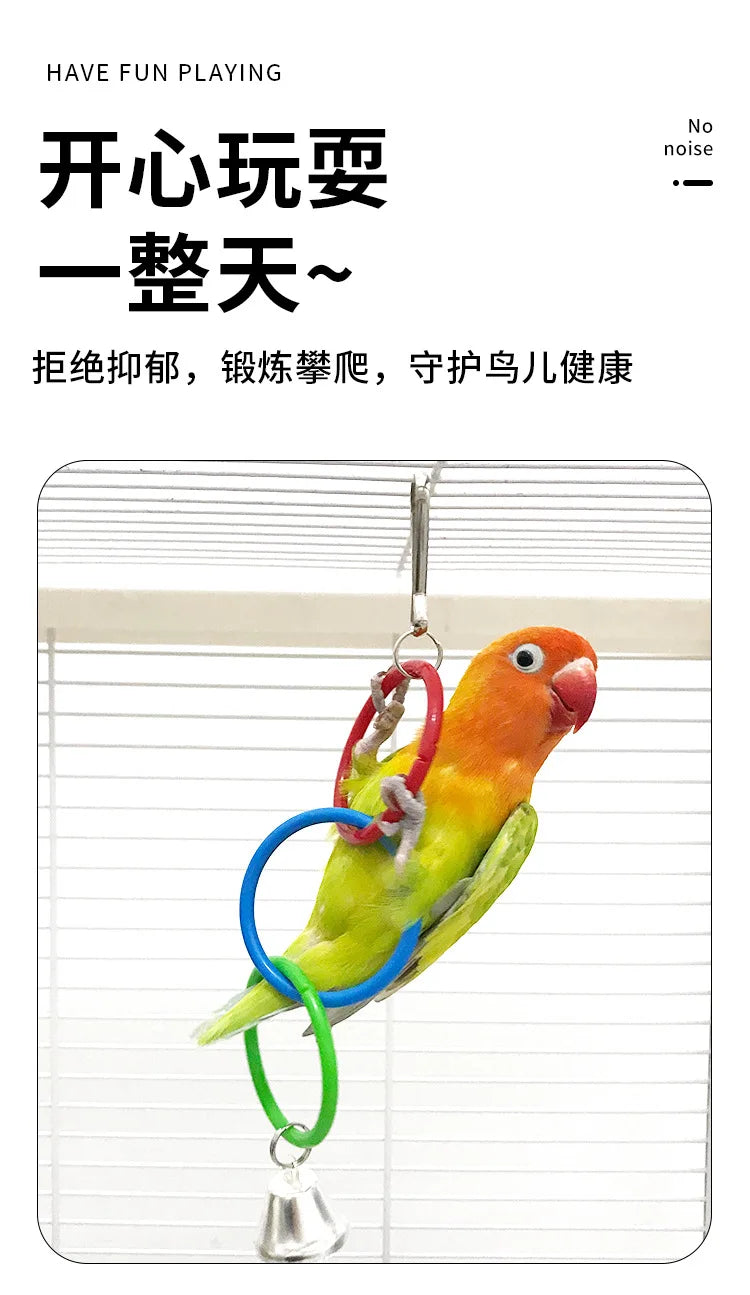 Colorful Ring Birds Use Gnawing Toy