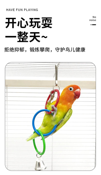 Colorful Ring Birds Use Gnawing Toy