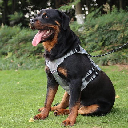Harness And Collar For Medium Large Dogs