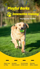 10cm Green Squeaky Ball For Dogs (Color Box Packaging)