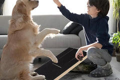 Dog Scratch Pad for Nails Scratching Board with Treat Box
