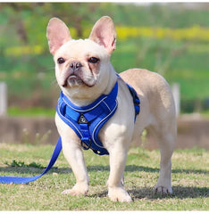Blue Reflective Mesh Dog Harness and Leash Set - Adjustable No-Pull Vest - M