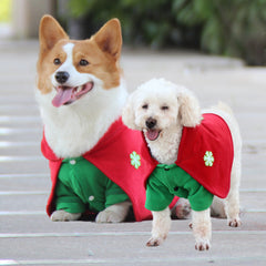 Christmas Dog Costume - Festive Hooded Cape & Green Jumpsuit Outfit (Size : 5XL)