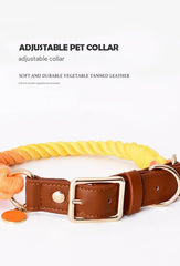 Premium Leather Pet Collar and Leash - Soft, Strong Braided Rope (Navy blue - Size M)
