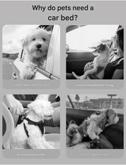 Dark blue Plush Dog Car Booster Seat - 2-in-1 Travel Bed for Small Dogs with Washable Cover